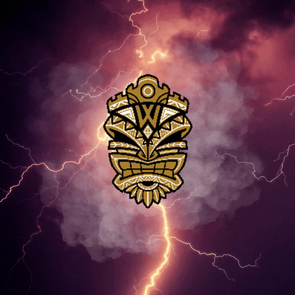 Wanakkii NFT - Surfer by heart